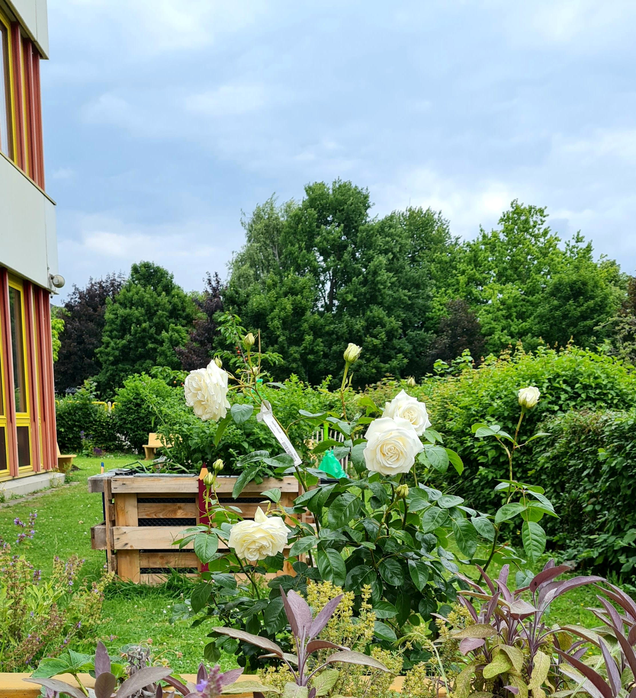 2025 schugaagkuebi 007 xxx